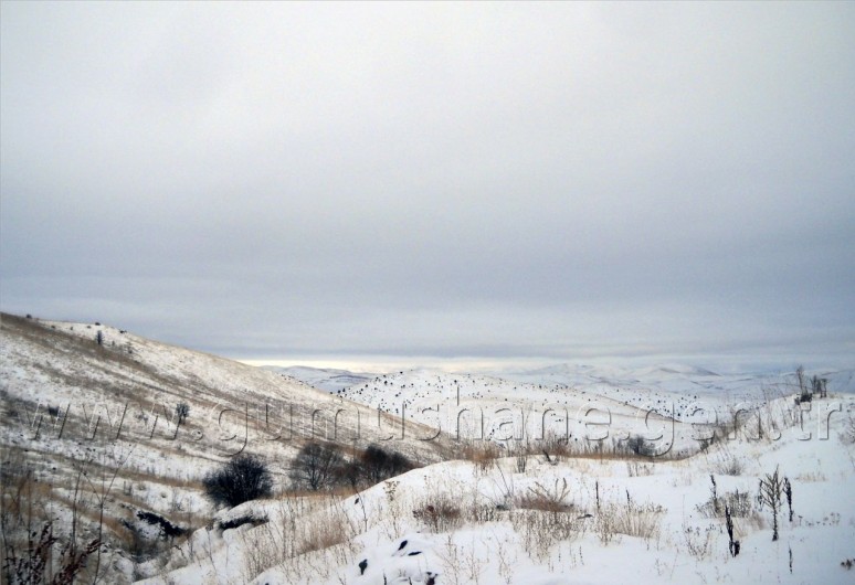 Gümüşhaneli Dağcılar Sarıçiçek Köyüne Yürüdü 9