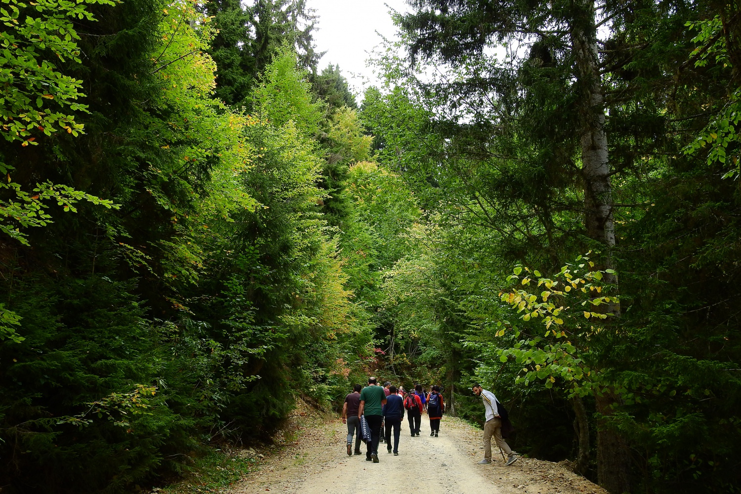 Gümüş şehir ‘Altın’ rengine büründü, dağcılar fırsatı kaçırmadı 56