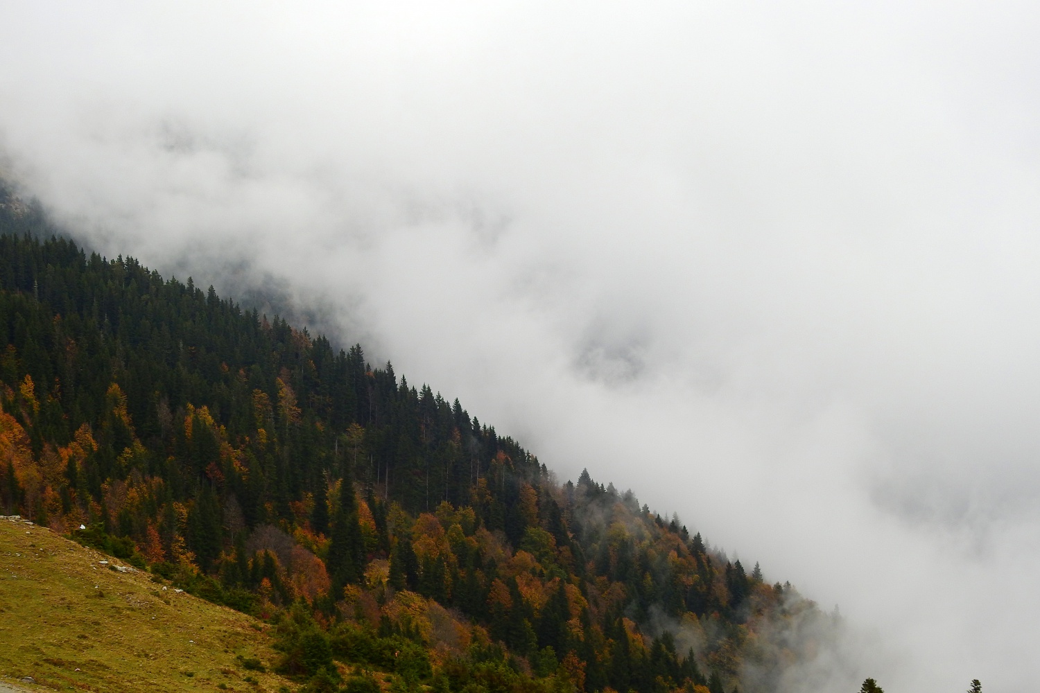 Gümüş şehir ‘Altın’ rengine büründü, dağcılar fırsatı kaçırmadı 50