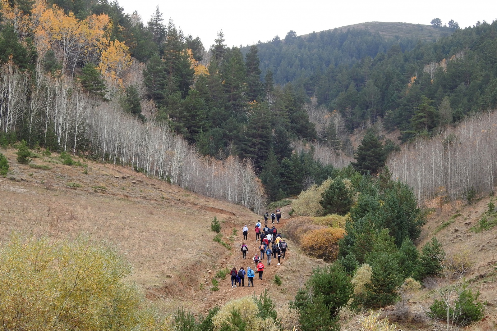 Gümüşhaneli dağcılar sonbaharın tadını çıkarmaya devam ediyor 13