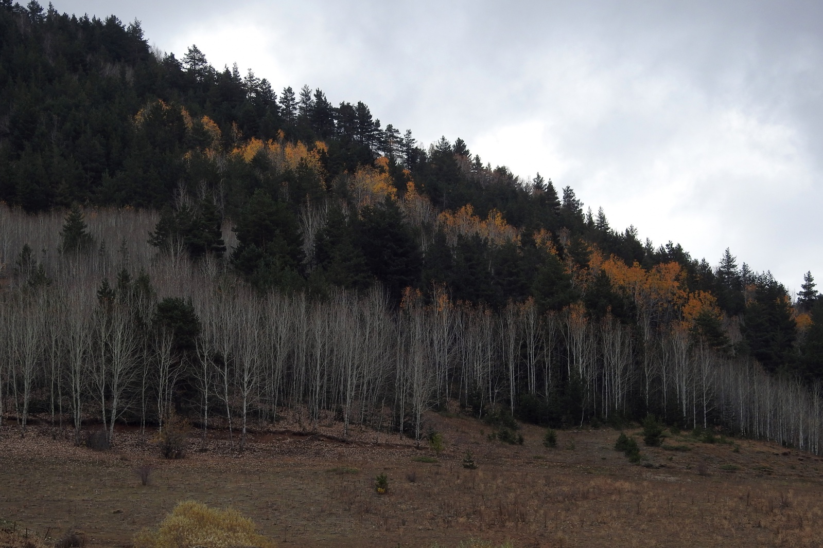 Gümüşhaneli dağcılar sonbaharın tadını çıkarmaya devam ediyor 8
