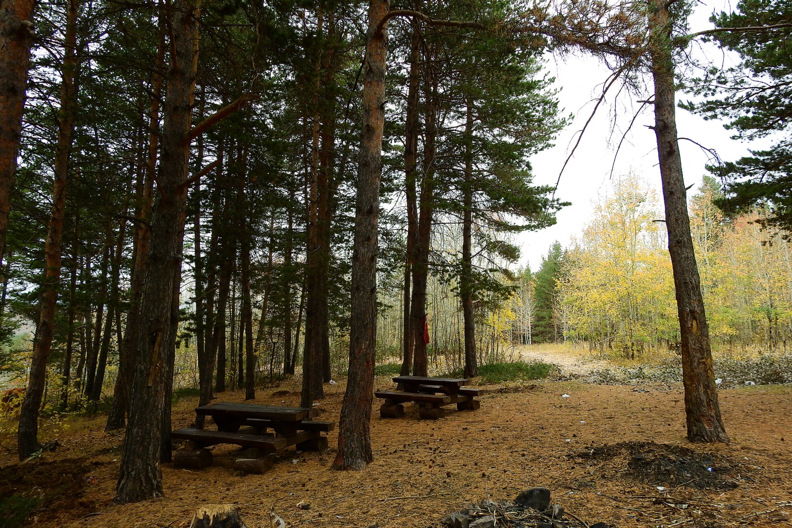 Gümüşhaneli dağcılar sonbaharın tadını çıkarmaya devam ediyor 14