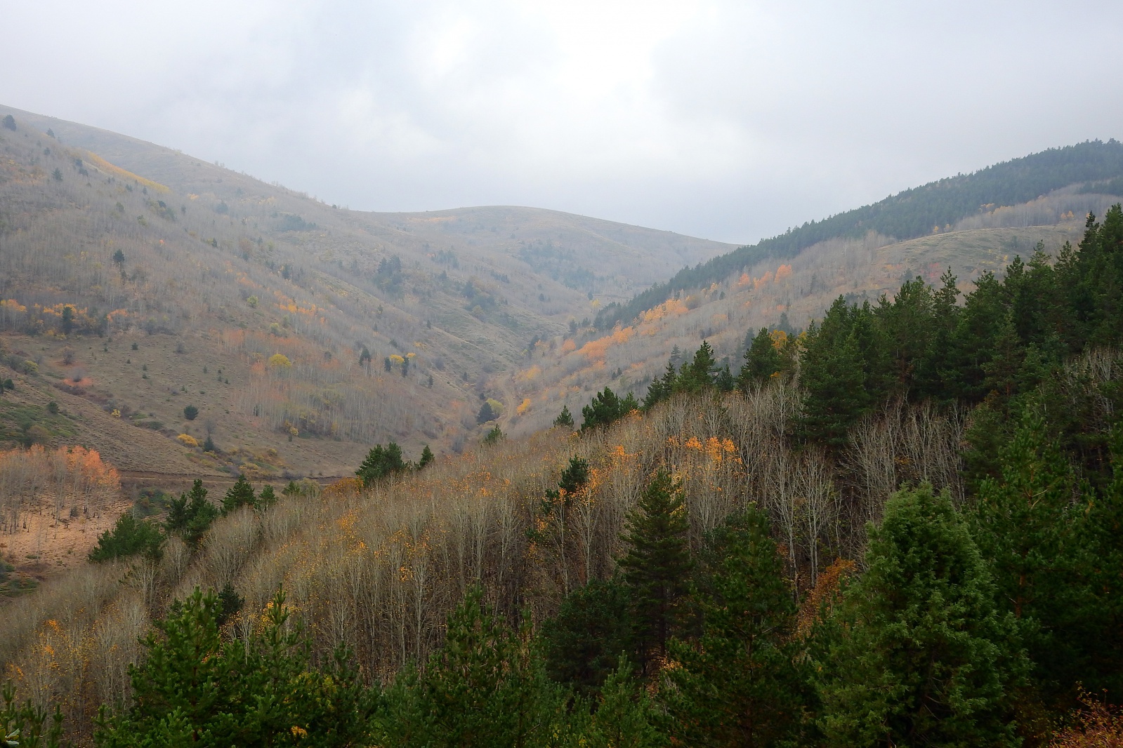 Gümüşhaneli dağcılar sonbaharın tadını çıkarmaya devam ediyor 11