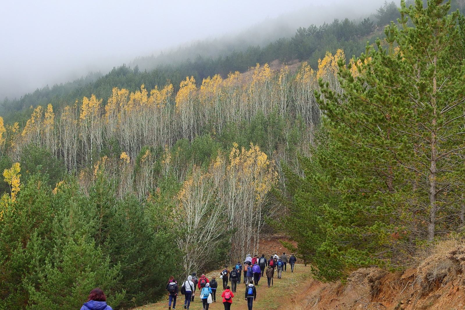 Gümüşhaneli dağcılar sonbaharın tadını çıkarmaya devam ediyor 17