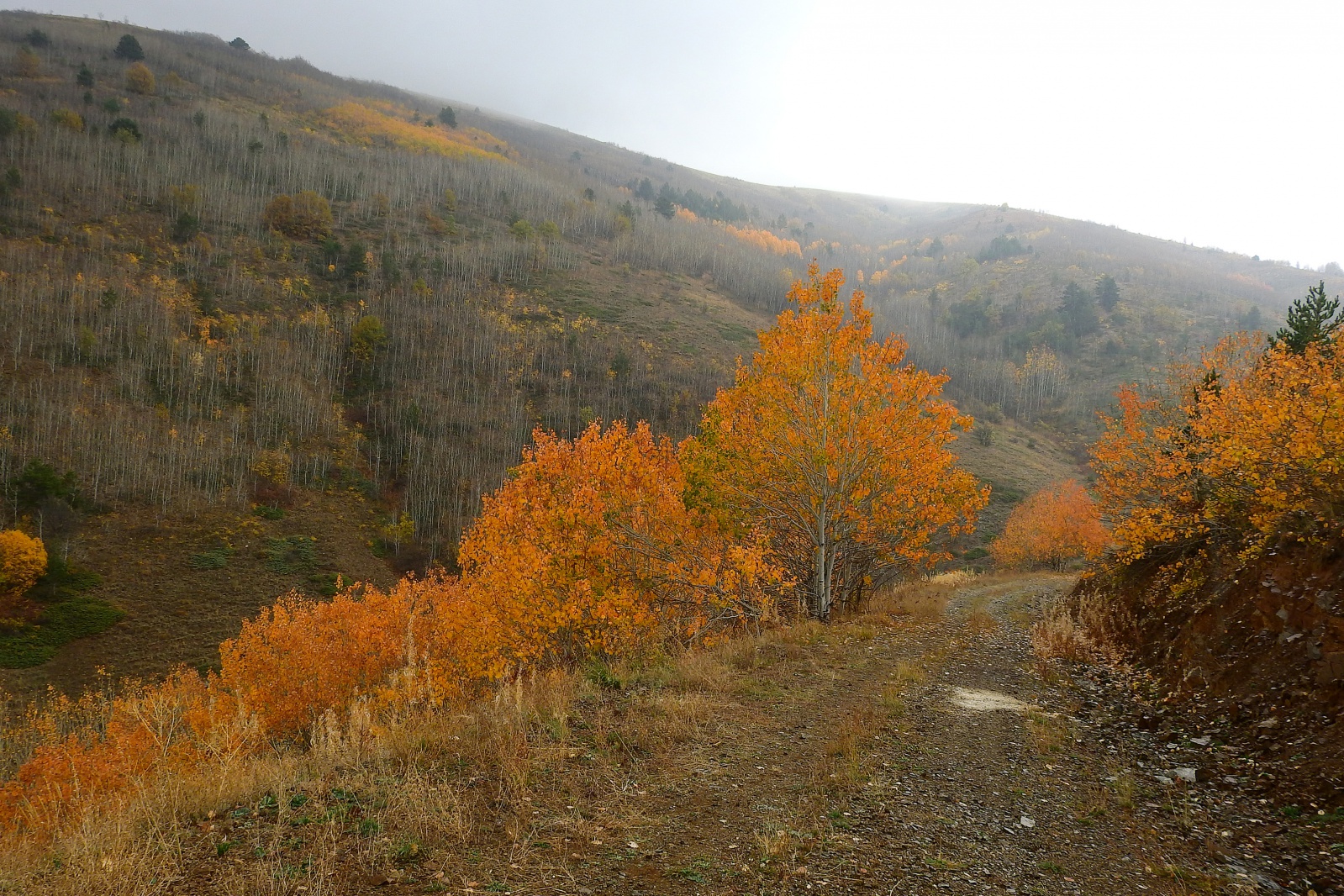 Gümüşhaneli dağcılar sonbaharın tadını çıkarmaya devam ediyor 7