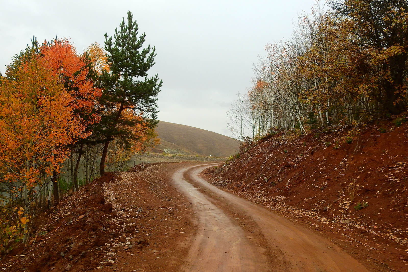 Gümüşhaneli dağcılar sonbaharın tadını çıkarmaya devam ediyor 6