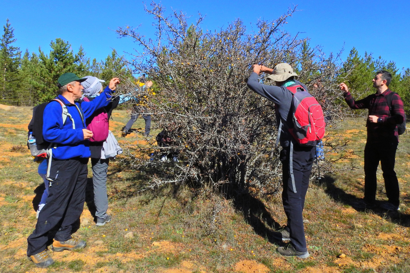 Gümüşhane’de sonbahar yürüyüşleri devam ediyor 9