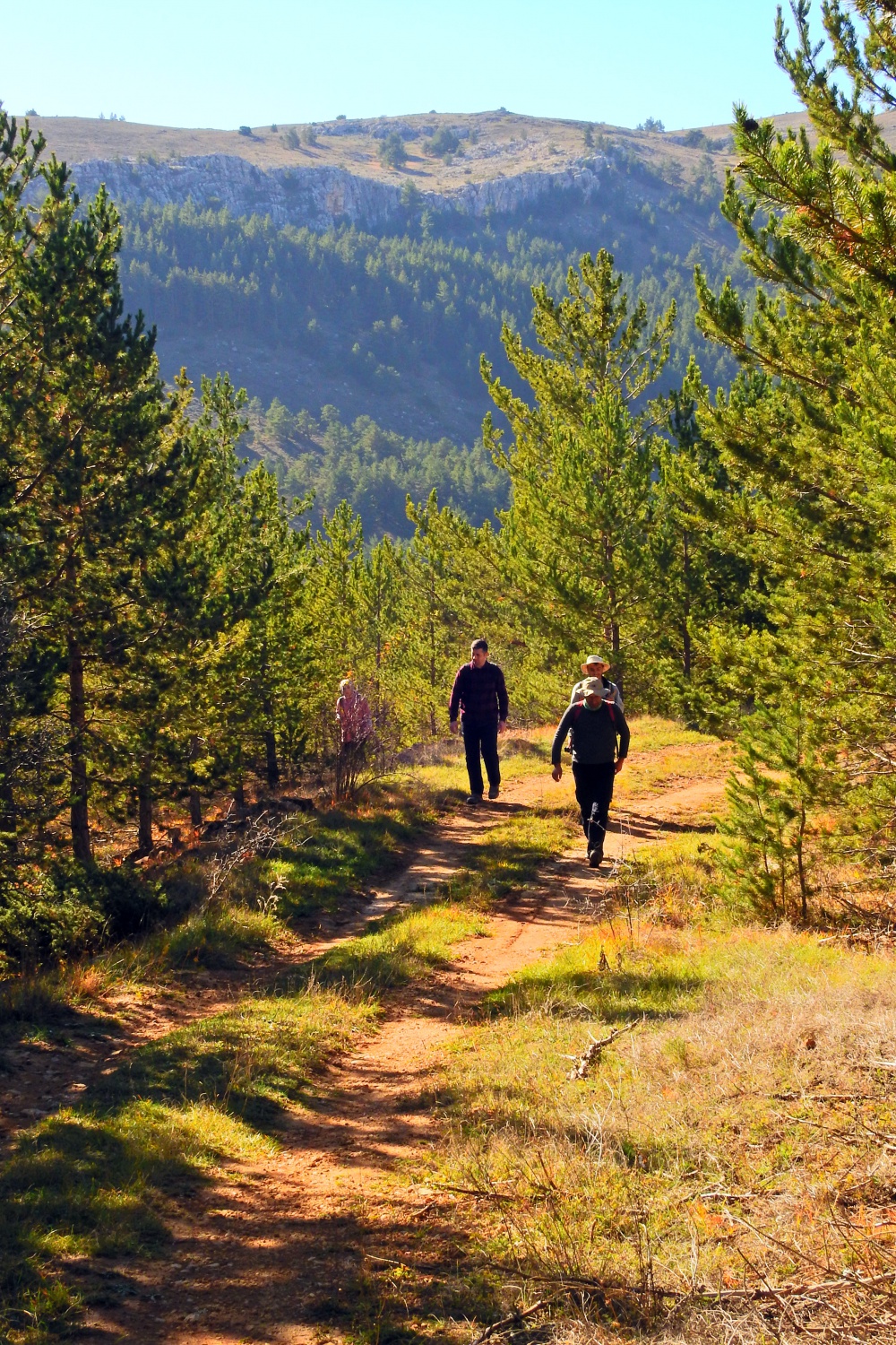 Gümüşhane’de sonbahar yürüyüşleri devam ediyor 14