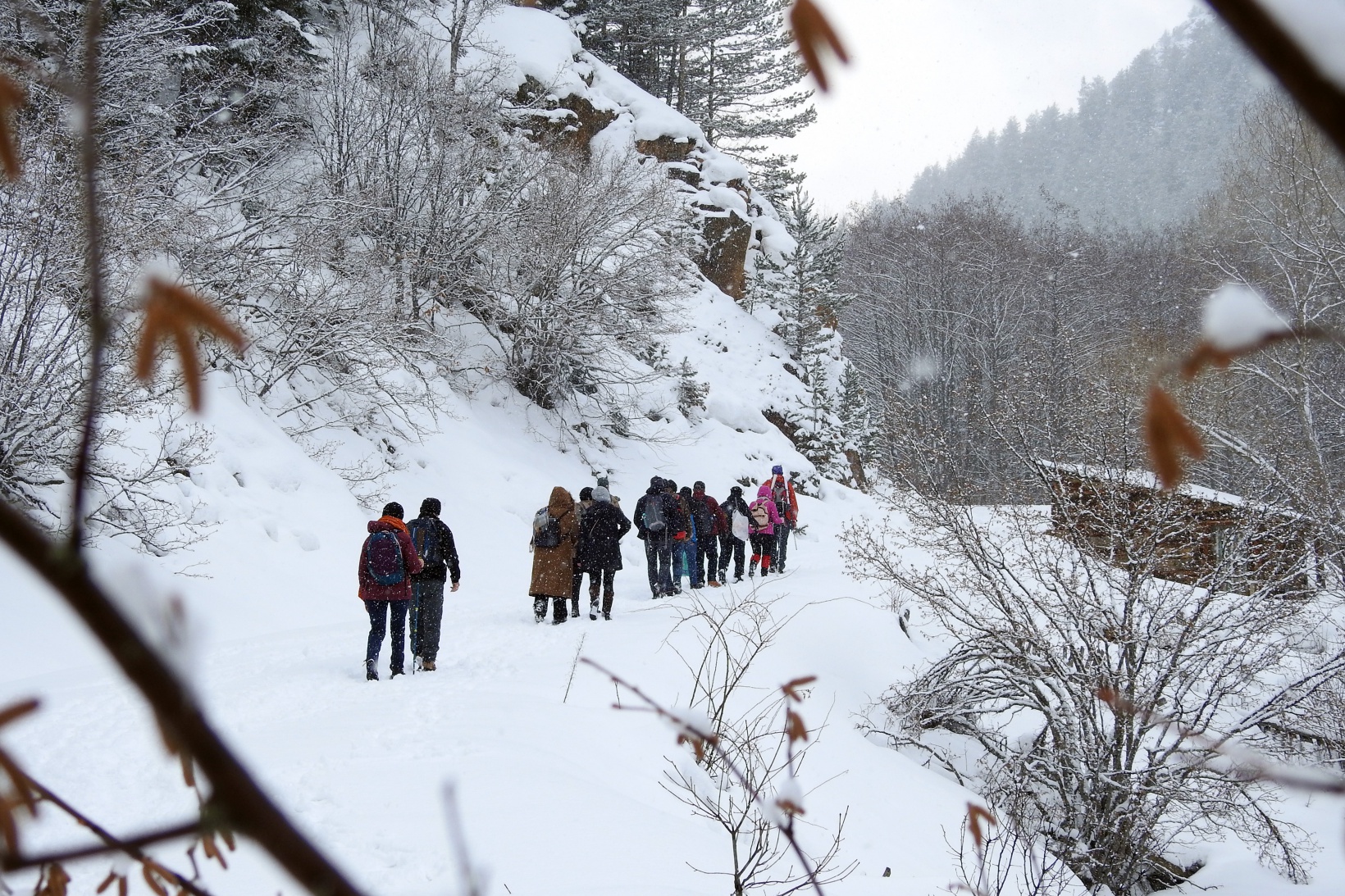 Gümüşhaneli dağcılar kadınlar için yürüdü 4