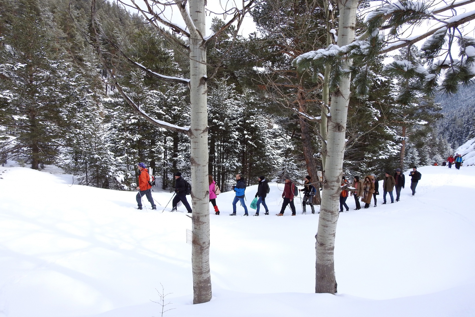 Gümüşhaneli dağcılar kadınlar için yürüdü 16