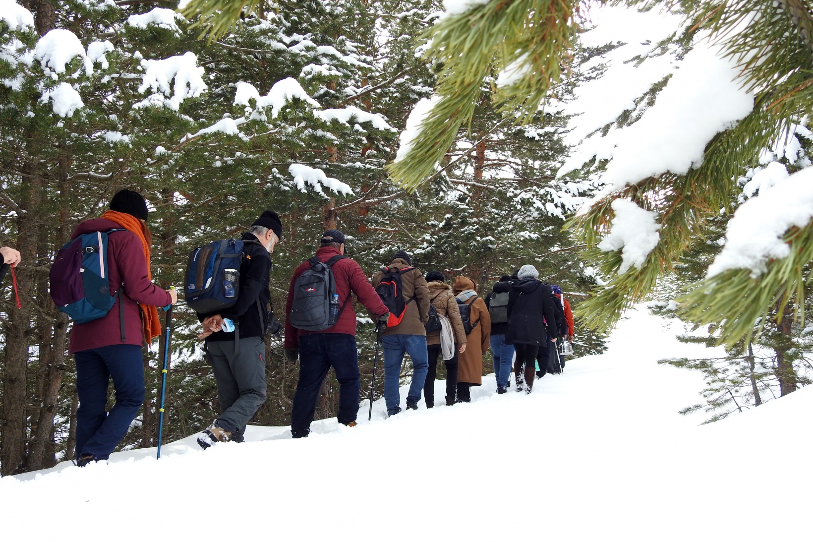 Gümüşhaneli dağcılar kadınlar için yürüdü 1