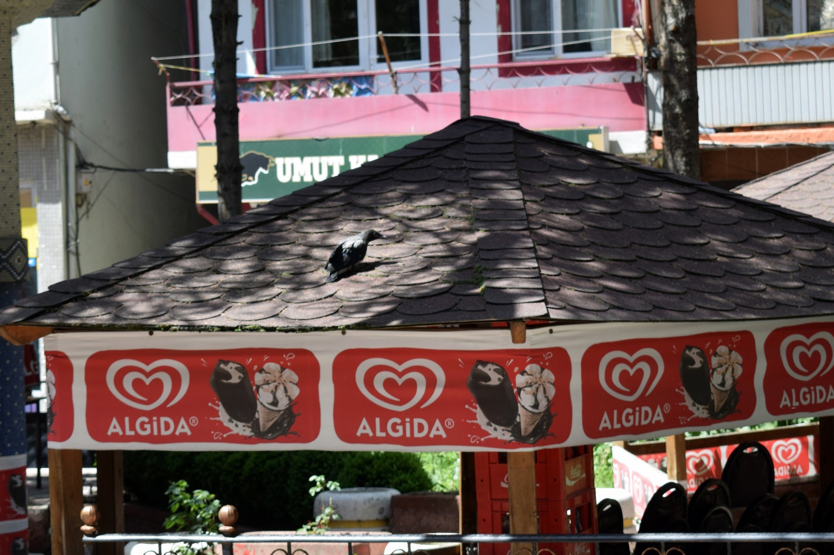 Torul itfaiyesinden “yavru karga” operasyonu 2