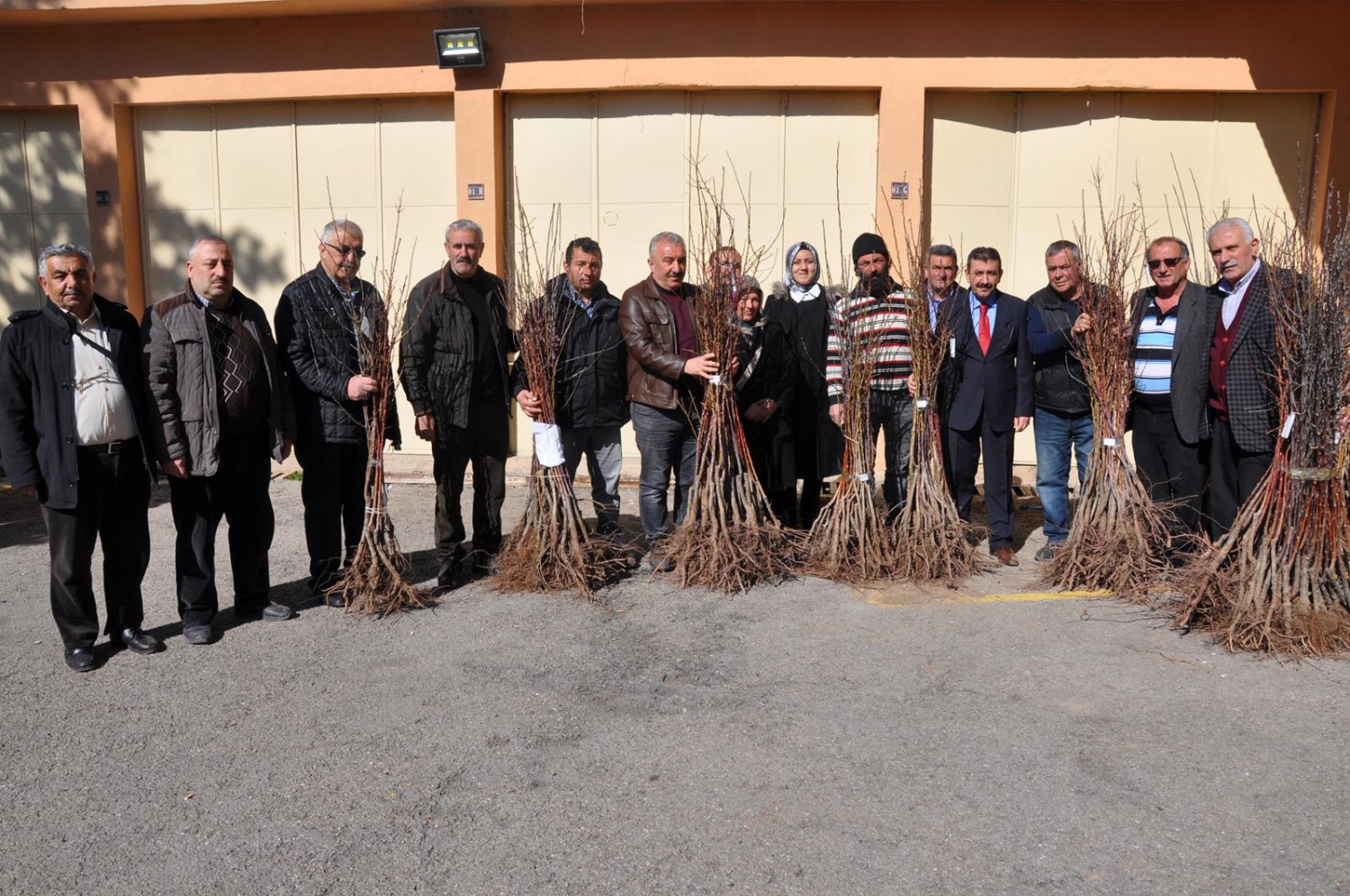Gümüşhane’de çiftçilere meyve fidanı dağıtımı yapıldı 3
