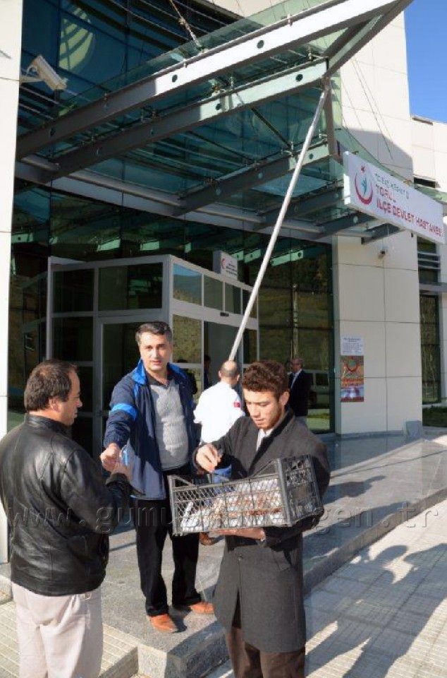 Semerkand Vakfı ve İpekyolu Derneği Torul’da Aşure Dağıttı 4