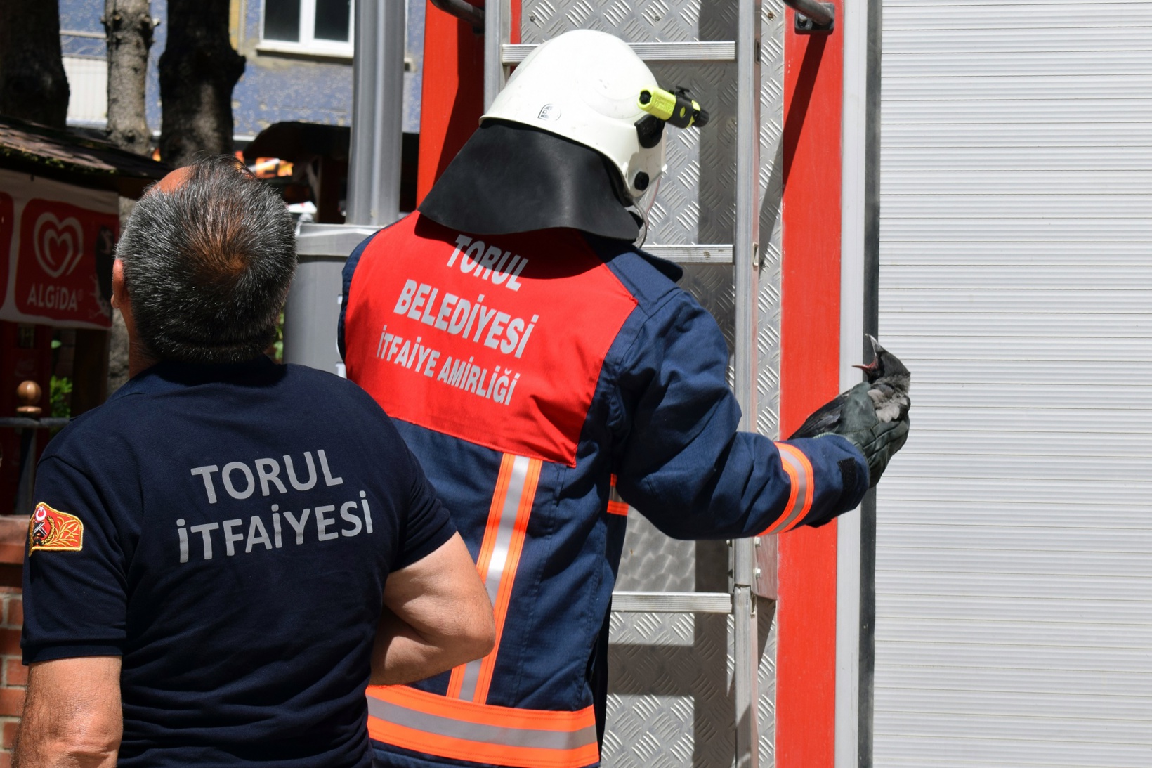 Torul itfaiyesinden “yavru karga” operasyonu 4