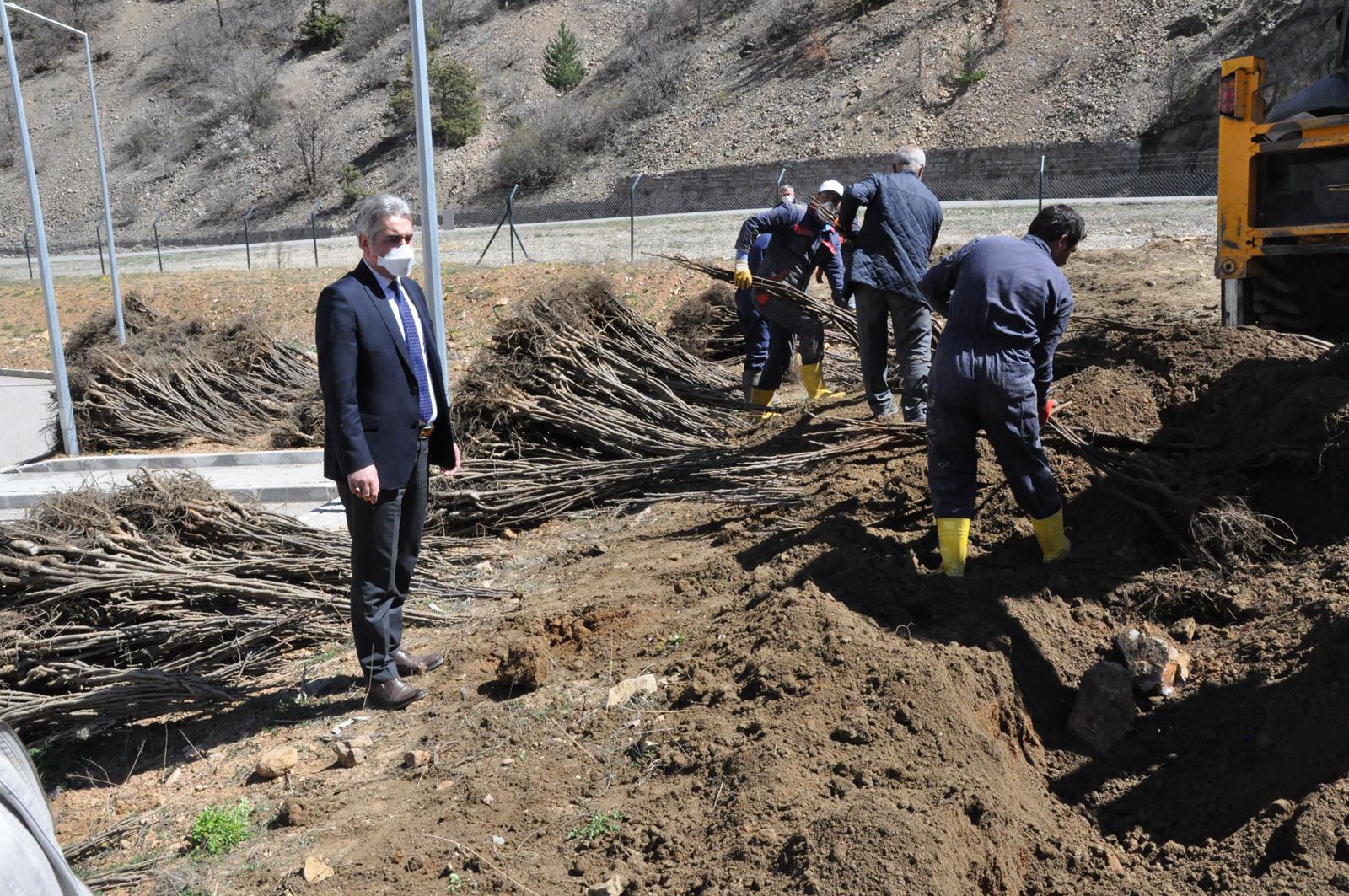 Gümüşhane Ceviz Vadisi olma yolunda ilerliyor 8