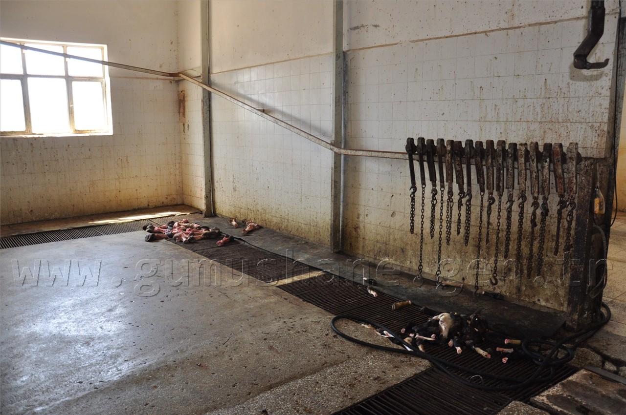 Kelkit Mezbahanesi Modernleşiyor 1