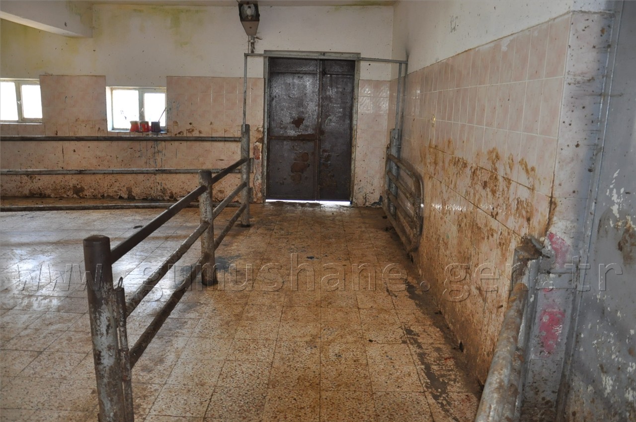 Kelkit Mezbahanesi Modernleşiyor 2