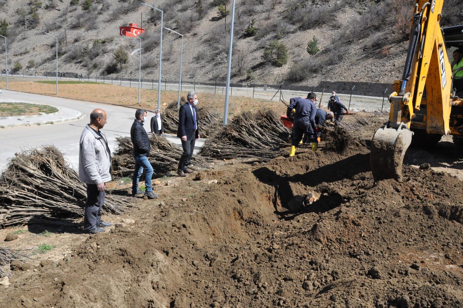Gümüşhane Ceviz Vadisi olma yolunda ilerliyor 15