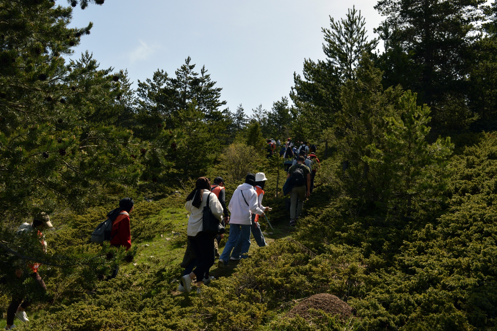Baharla birlikte doğaya akın ettiler 9