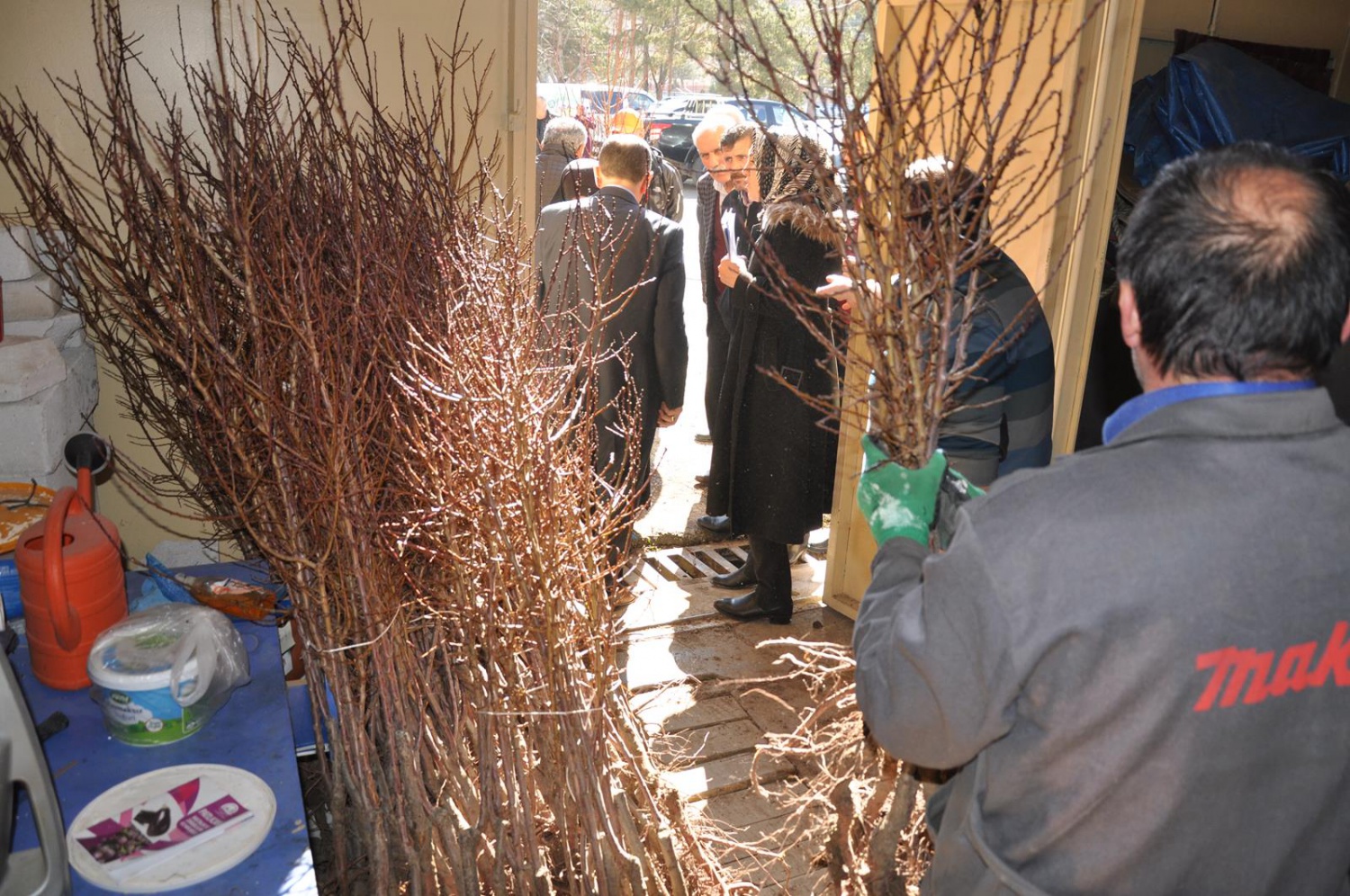 Gümüşhane’de çiftçilere meyve fidanı dağıtımı yapıldı 5