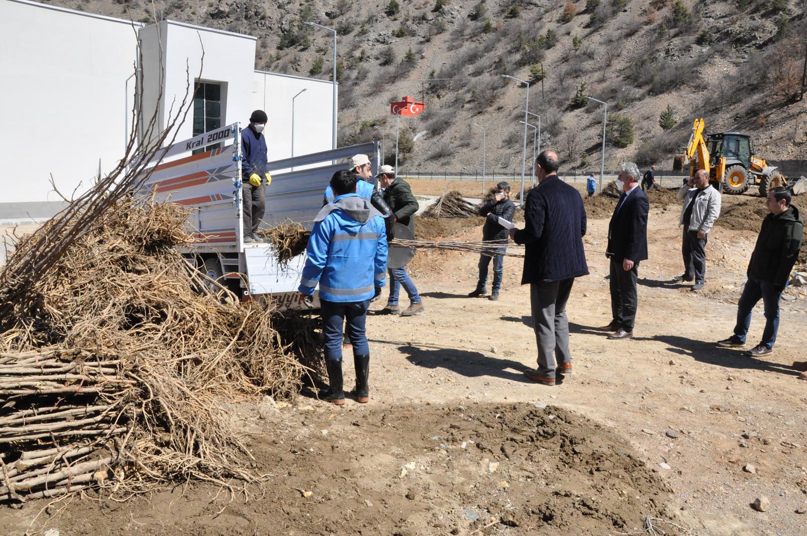 Gümüşhane Ceviz Vadisi olma yolunda ilerliyor 5
