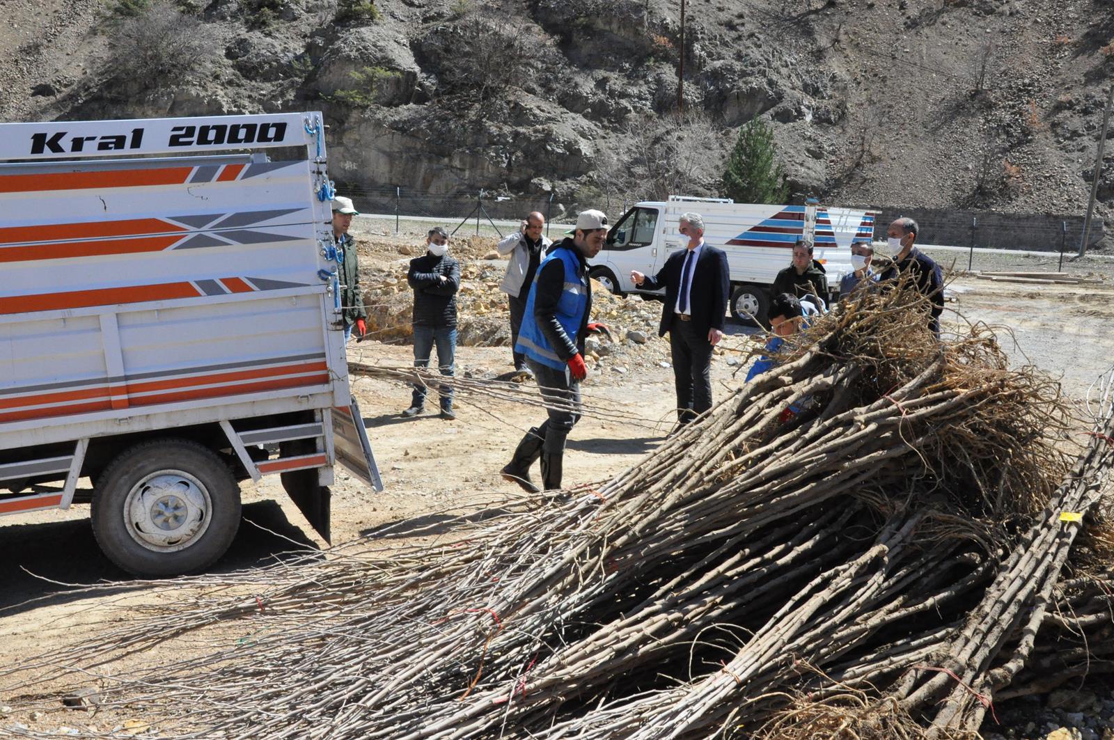 Gümüşhane Ceviz Vadisi olma yolunda ilerliyor 13
