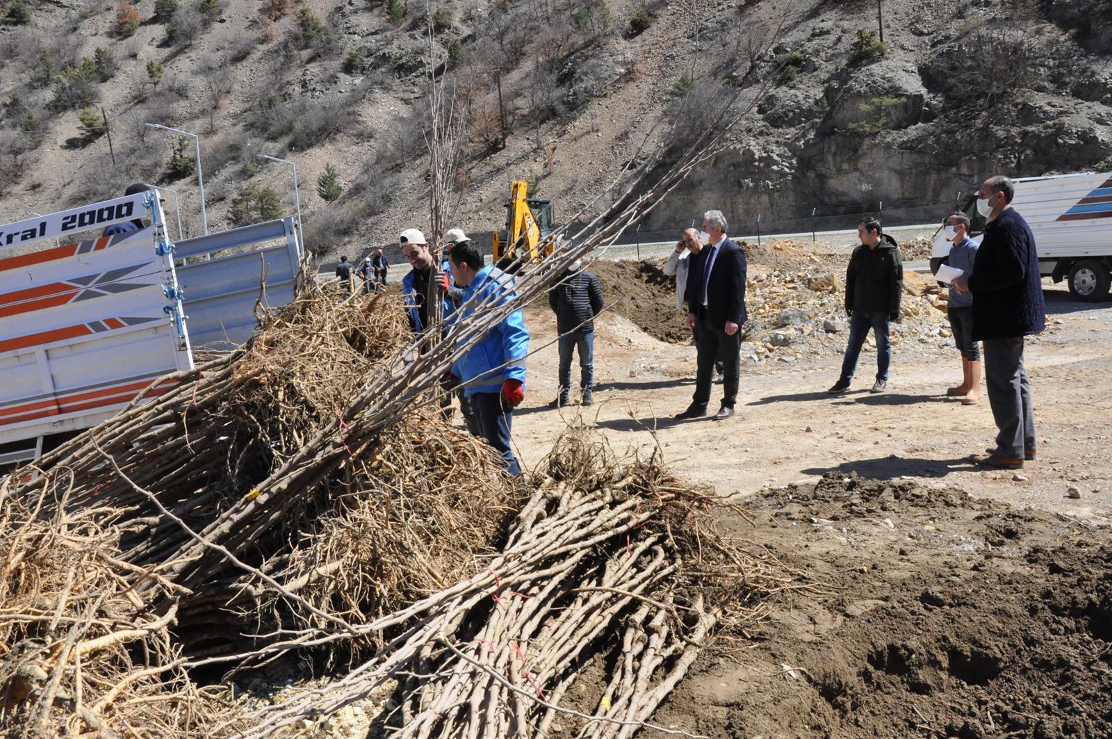 Gümüşhane Ceviz Vadisi olma yolunda ilerliyor 28