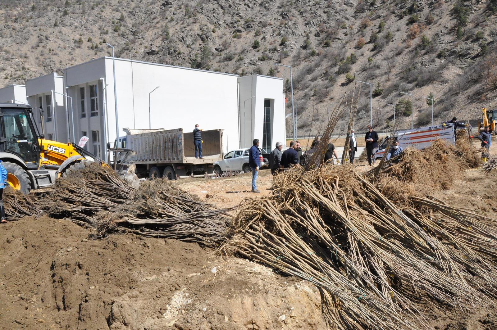 Gümüşhane Ceviz Vadisi olma yolunda ilerliyor 17