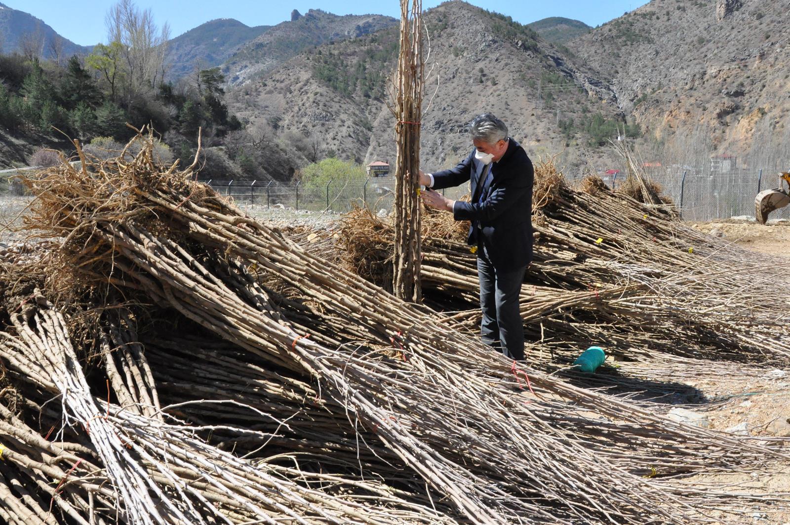 Gümüşhane Ceviz Vadisi olma yolunda ilerliyor 4