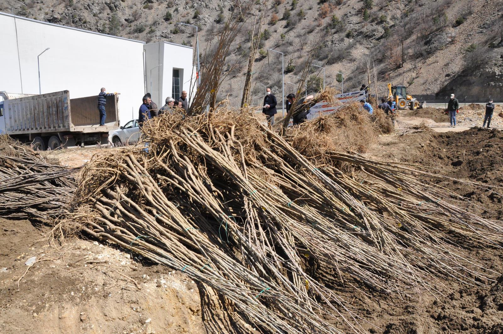 Gümüşhane Ceviz Vadisi olma yolunda ilerliyor 27