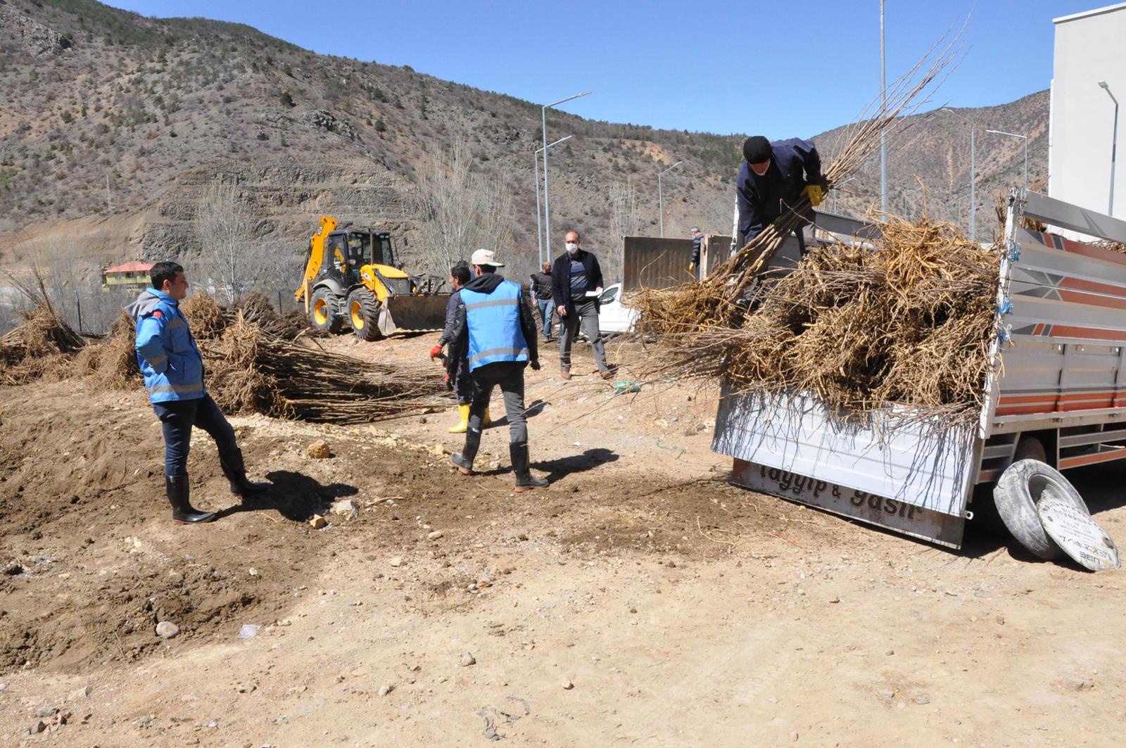 Gümüşhane Ceviz Vadisi olma yolunda ilerliyor 26
