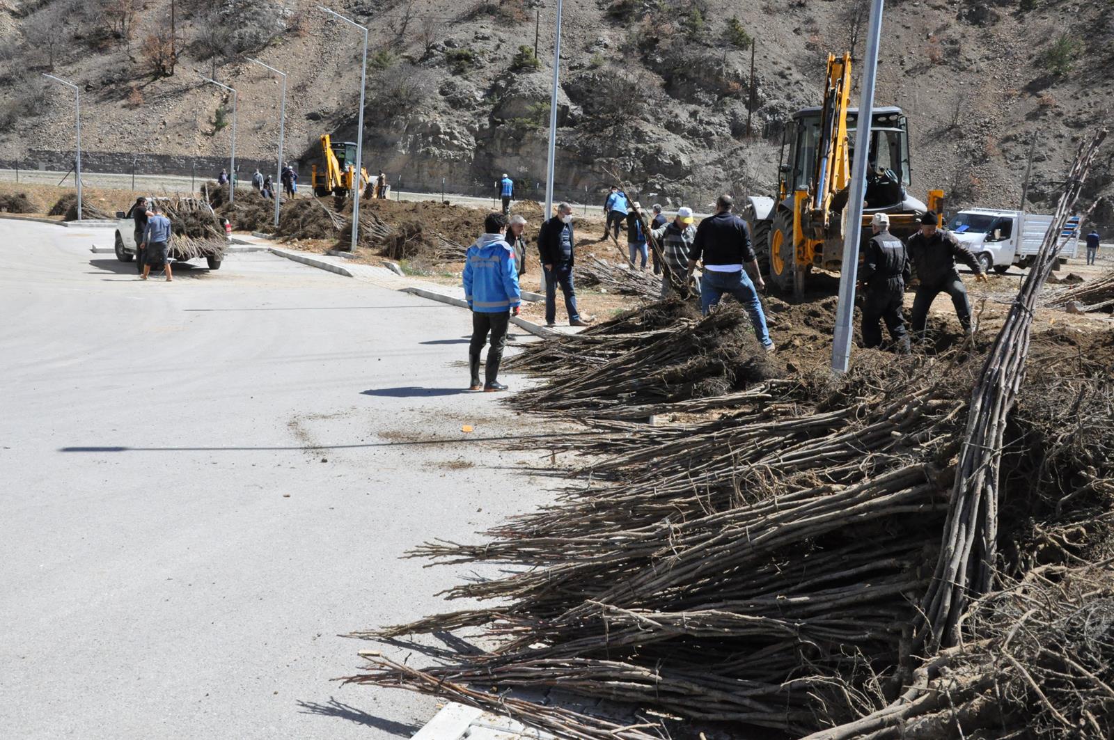 Gümüşhane Ceviz Vadisi olma yolunda ilerliyor 9