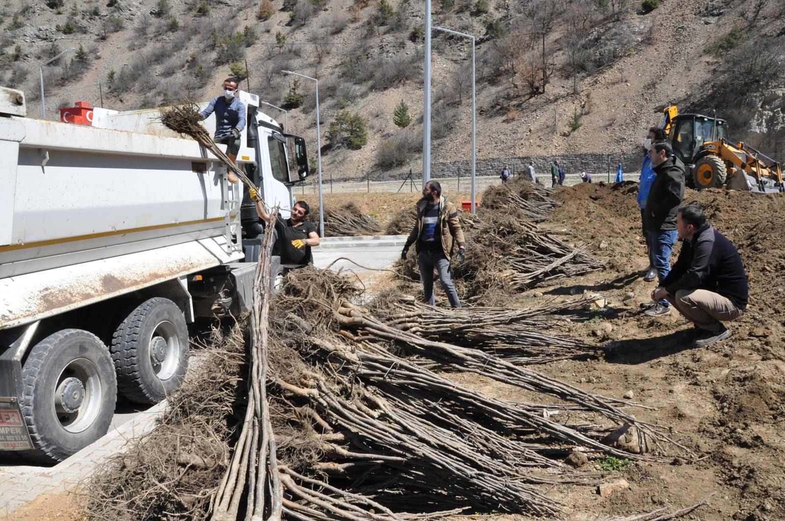 Gümüşhane Ceviz Vadisi olma yolunda ilerliyor 19