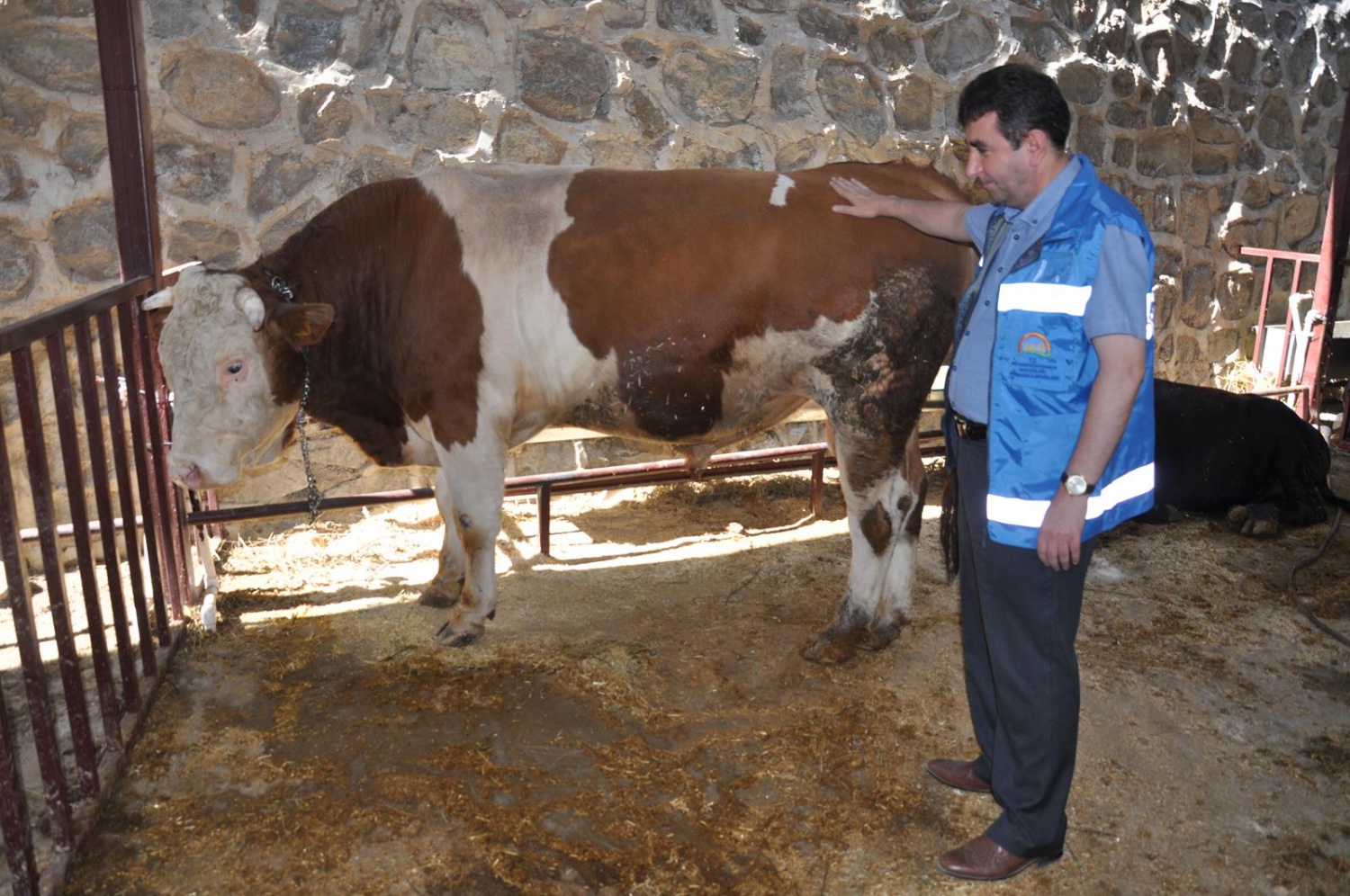 Kurban Bayramı öncesi hazırlıklar tamamlandı 2