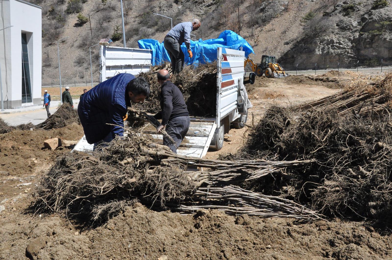 Gümüşhane Ceviz Vadisi olma yolunda ilerliyor 10