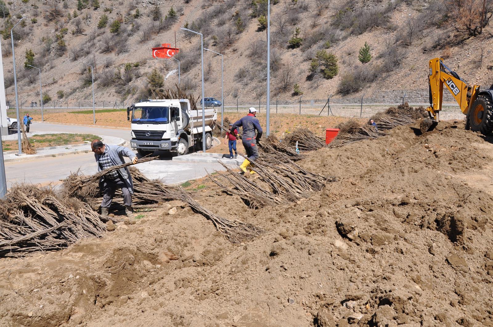 Gümüşhane Ceviz Vadisi olma yolunda ilerliyor 18