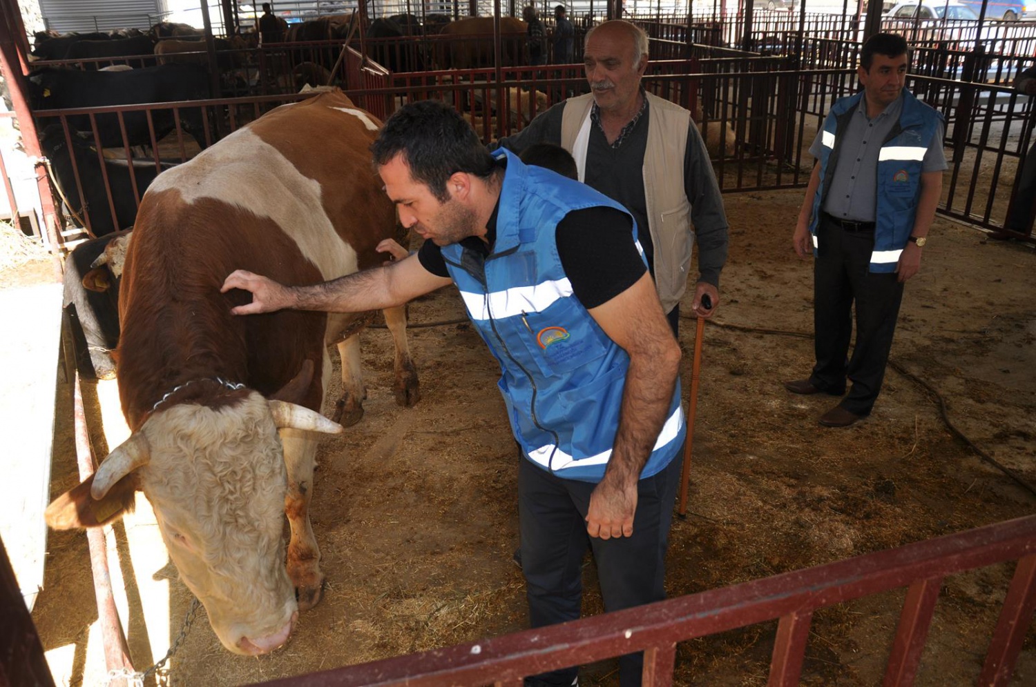 Kurban Bayramı öncesi hazırlıklar tamamlandı 3