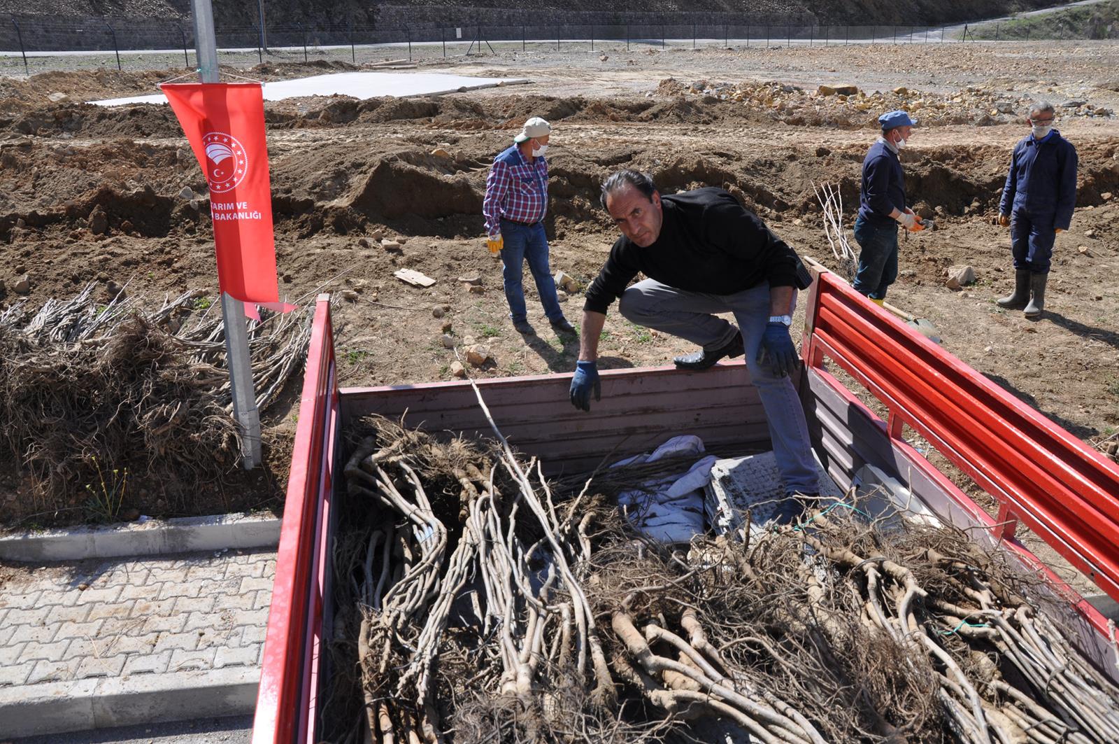 Gümüşhane Ceviz Vadisi olma yolunda ilerliyor 11