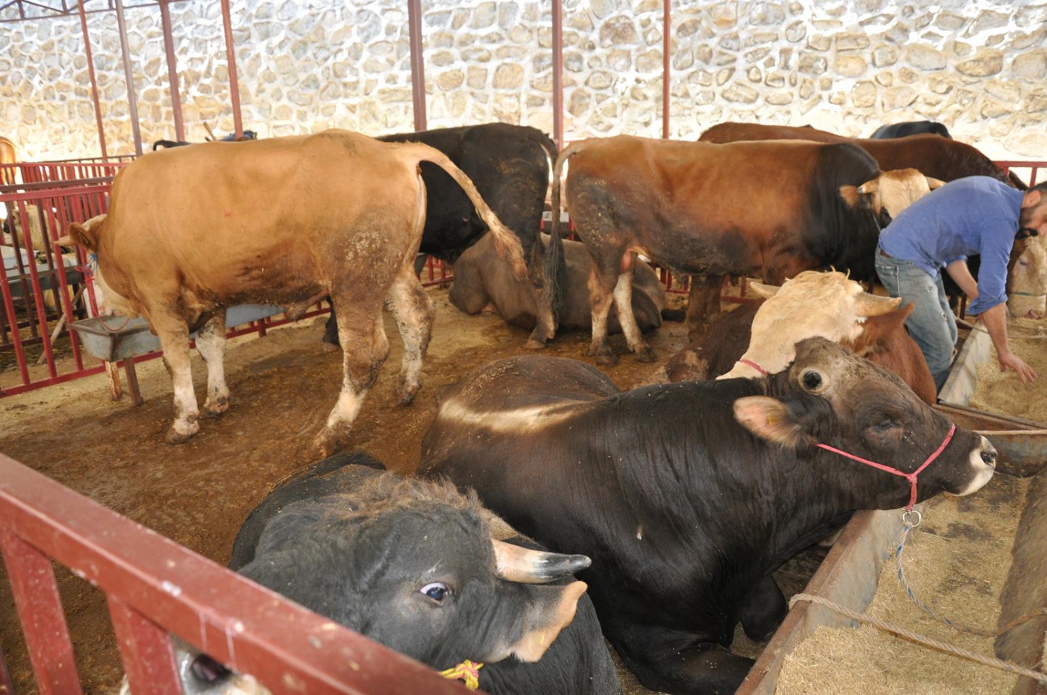 Kurban Bayramı öncesi hazırlıklar tamamlandı 7