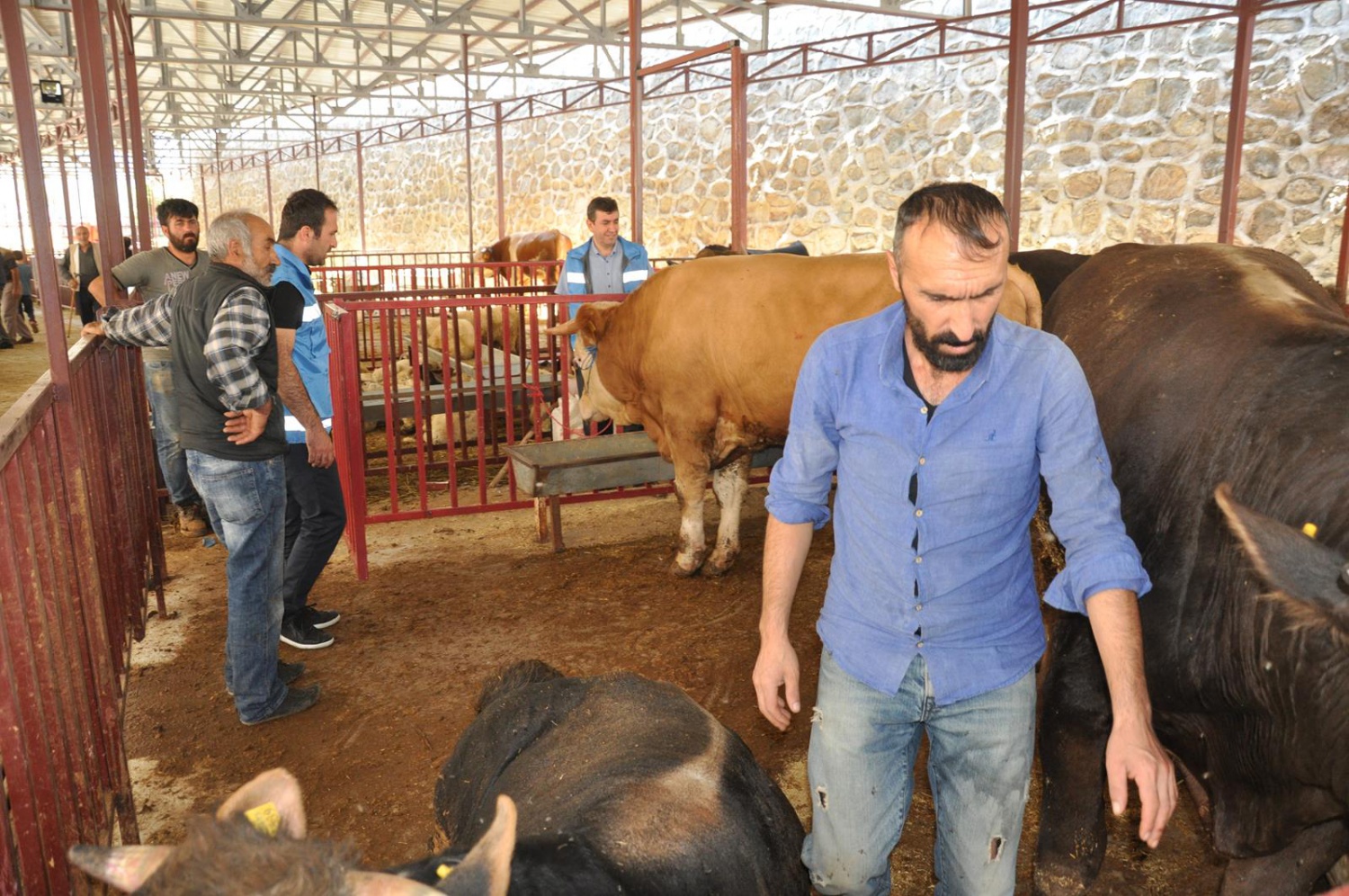 Kurban Bayramı öncesi hazırlıklar tamamlandı 11