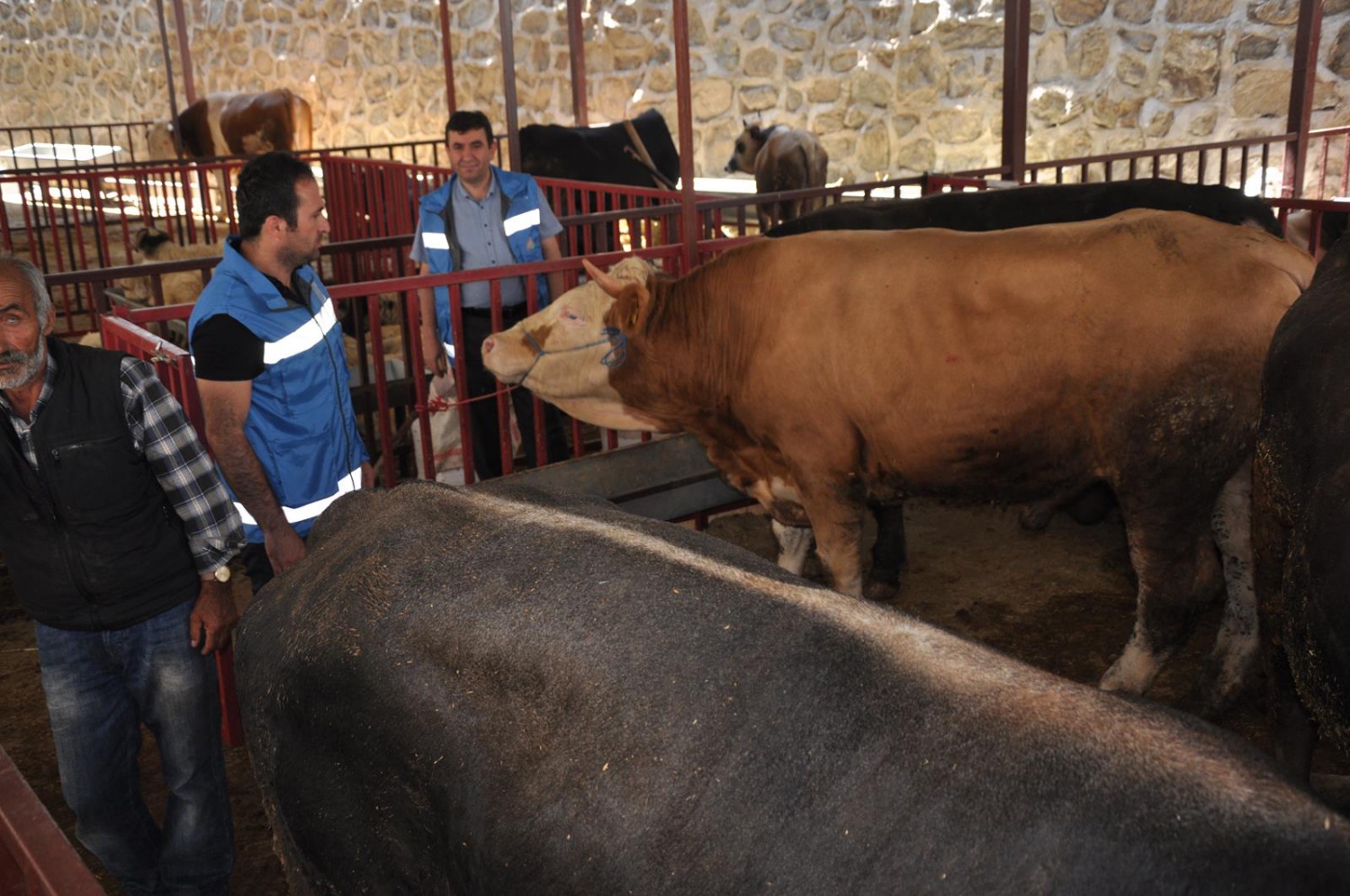 Kurban Bayramı öncesi hazırlıklar tamamlandı 4