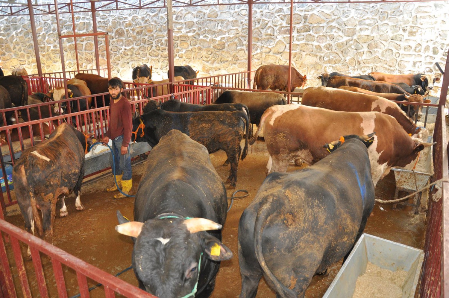 Kurban Bayramı öncesi hazırlıklar tamamlandı 14