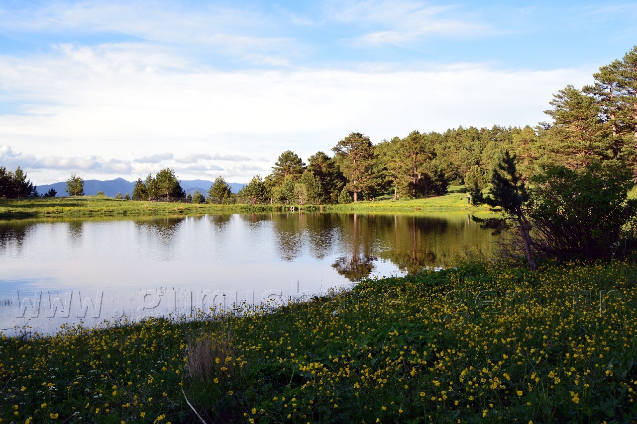 Gümüşhaneli Dağcılar Altınpınar Gölünde Kamp Kurdu 5