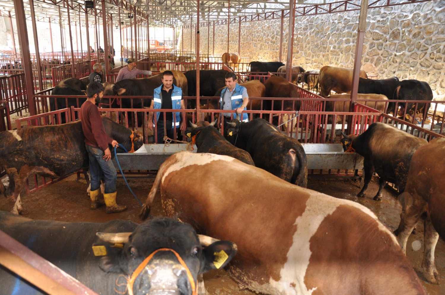 Kurban Bayramı öncesi hazırlıklar tamamlandı 5