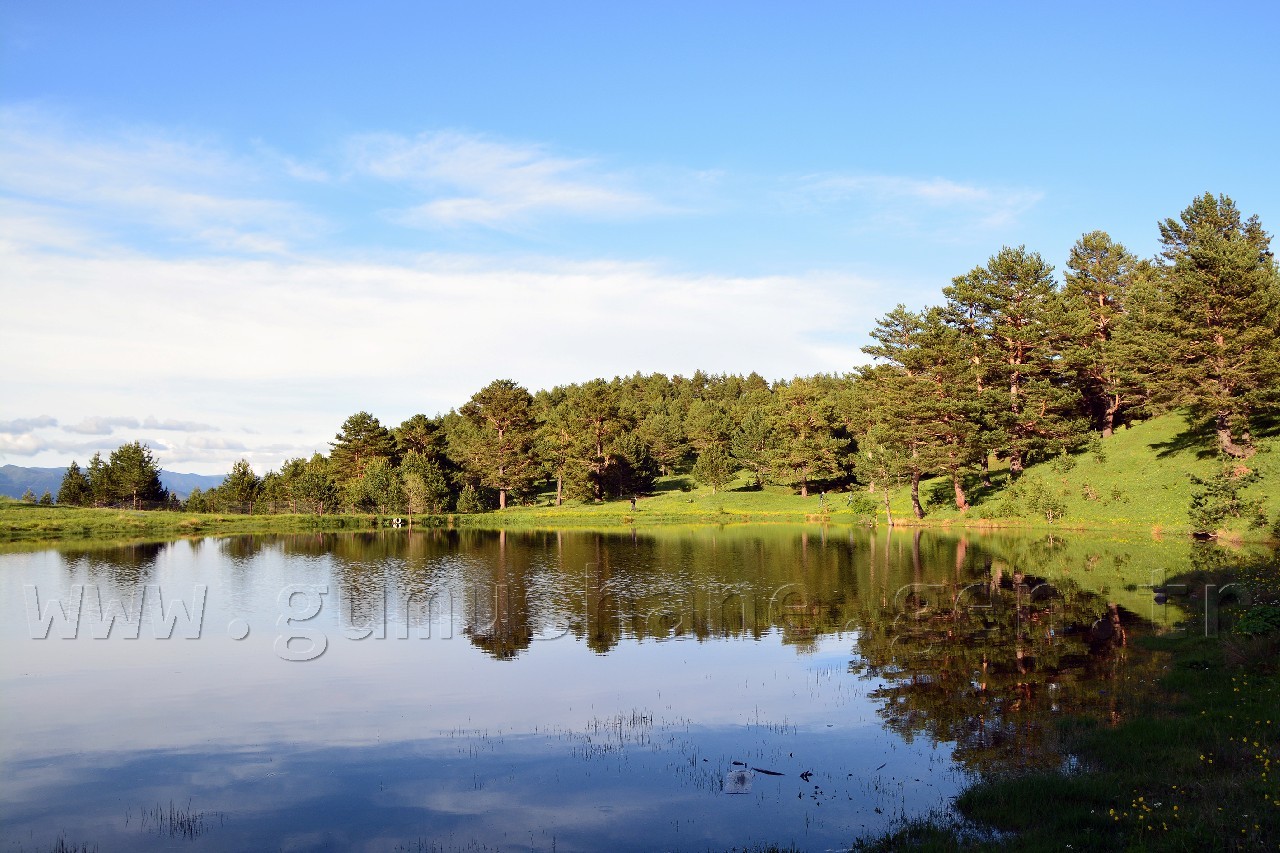 Gümüşhaneli Dağcılar Altınpınar Gölünde Kamp Kurdu 6