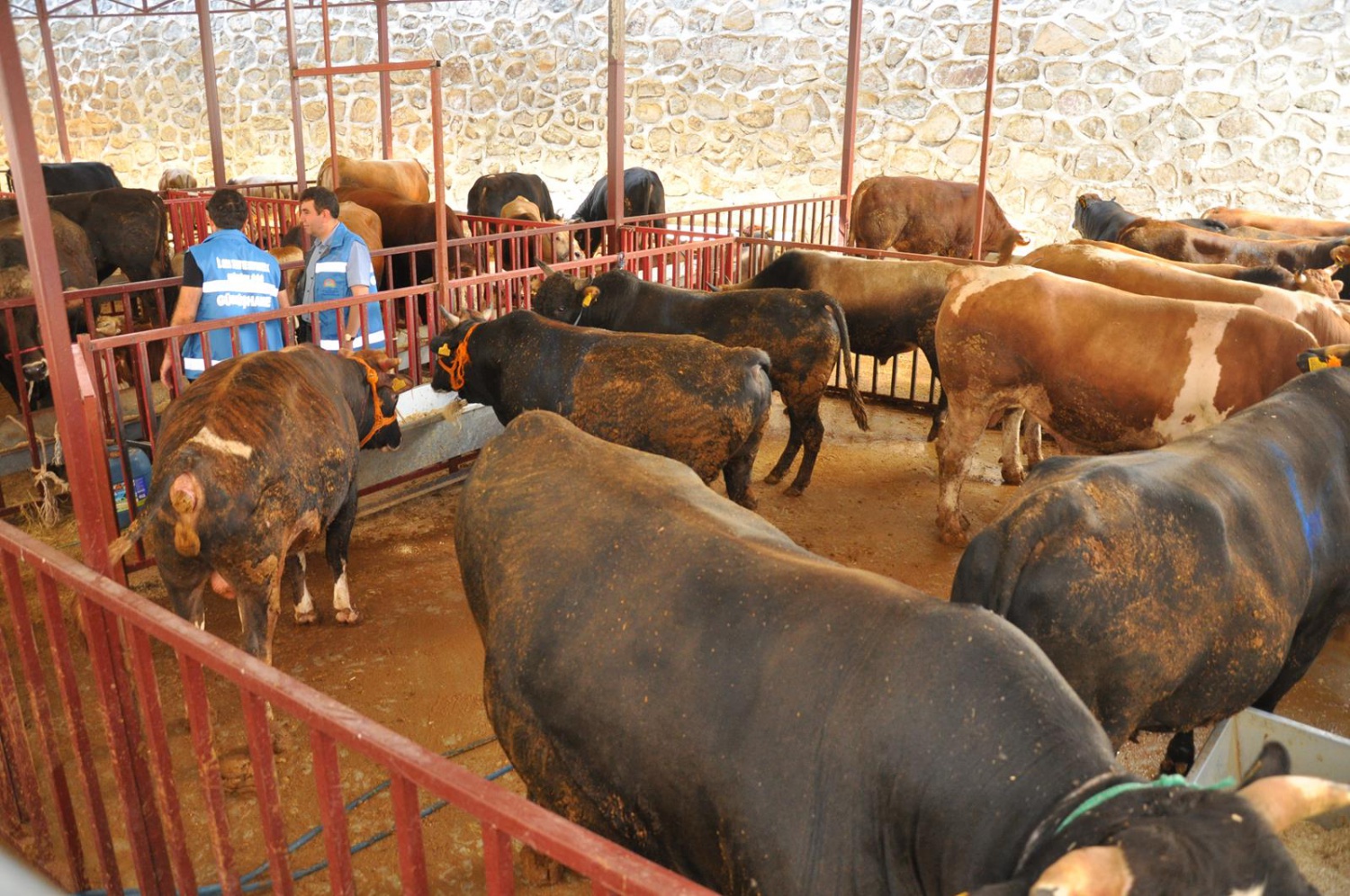 Kurban Bayramı öncesi hazırlıklar tamamlandı 10