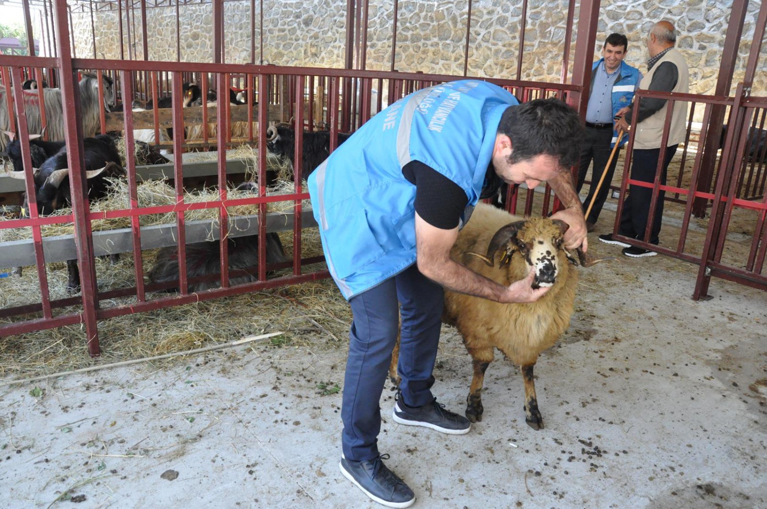 Kurban Bayramı öncesi hazırlıklar tamamlandı 6