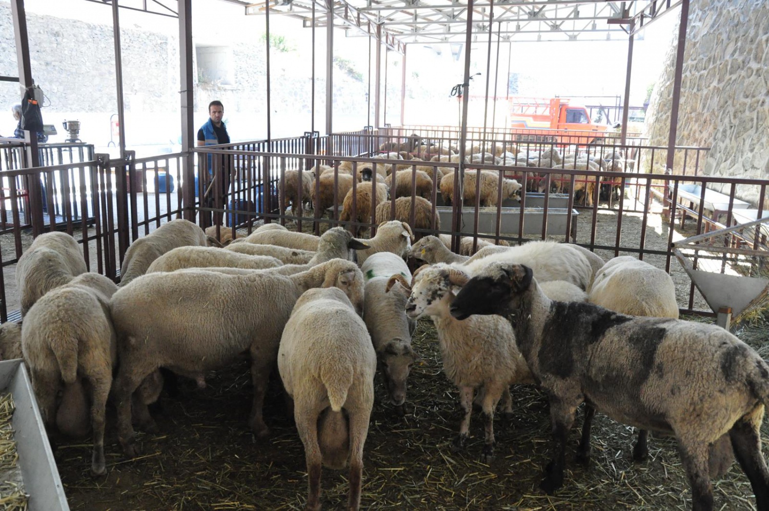 Kurban Bayramı öncesi hazırlıklar tamamlandı 9