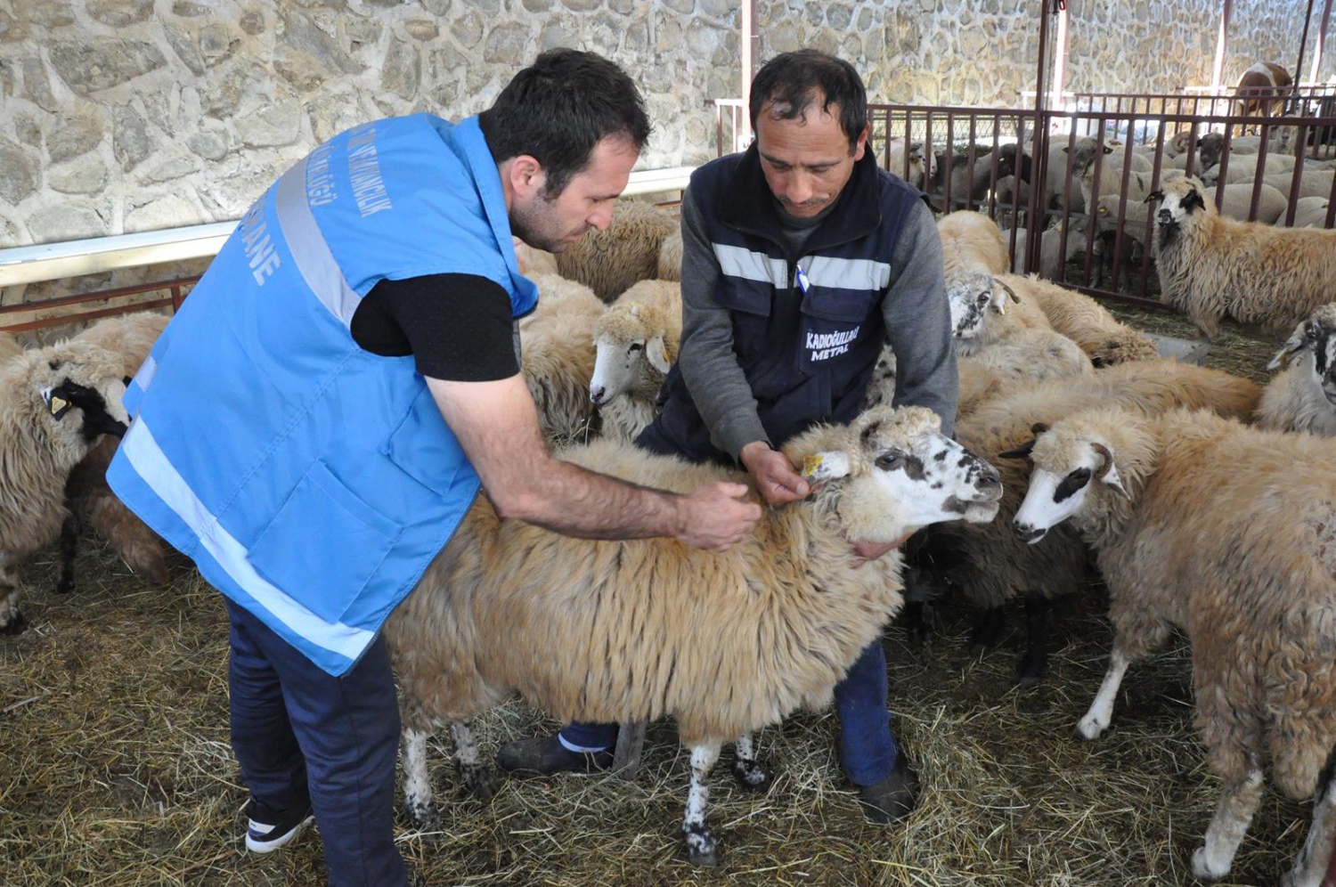 Kurban Bayramı öncesi hazırlıklar tamamlandı 12